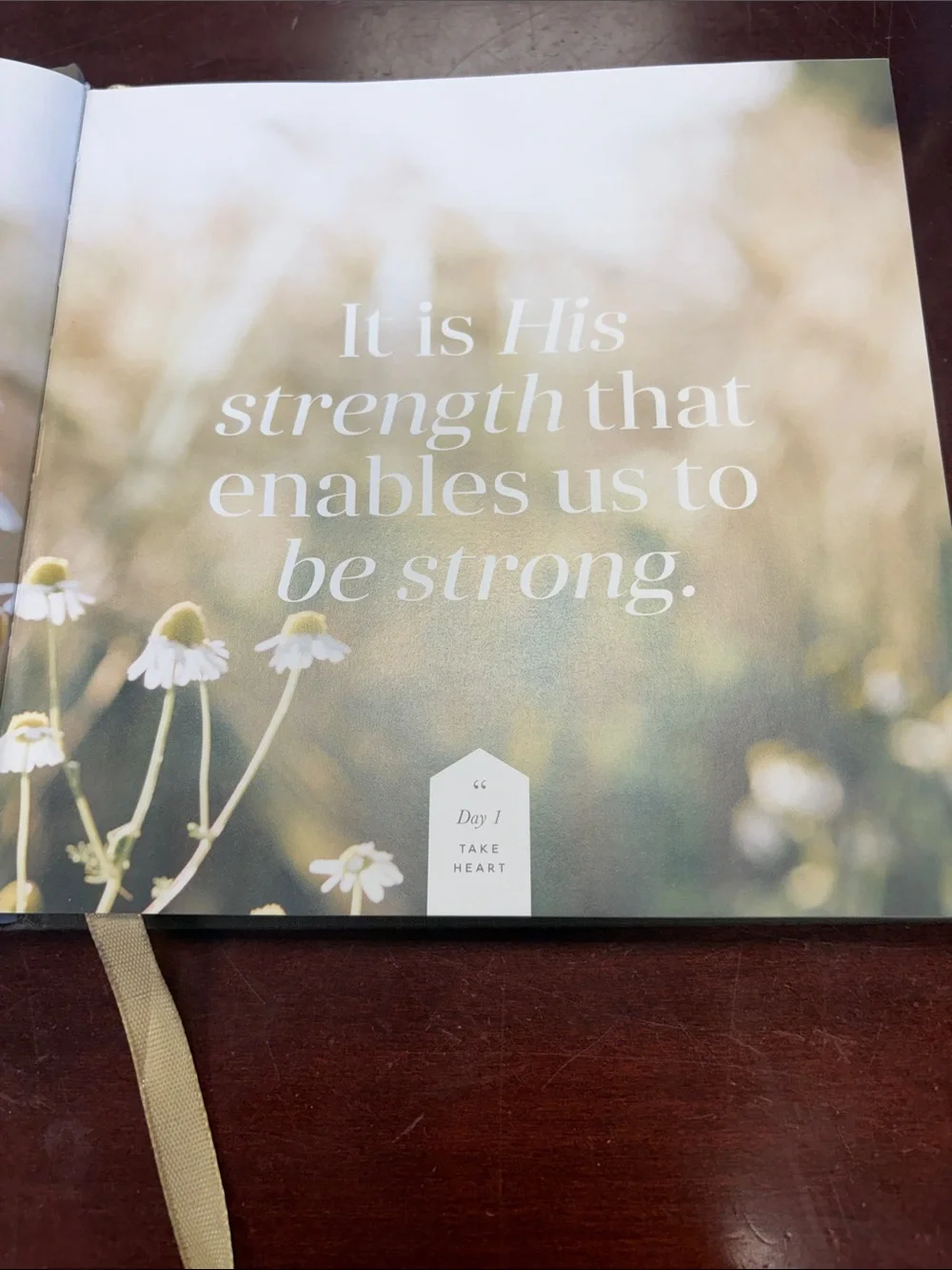 Take Heart 90-Day Devotional - in Gray with Gold Foil